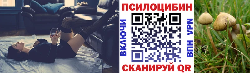 где купить наркотик  Кирсанов  Псилоцибиновые грибы мицелий 
