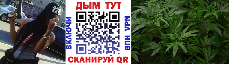 цена   Кирсанов  Конопля гибрид 